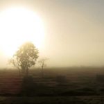 blog_4