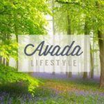 lifestyle-compressor