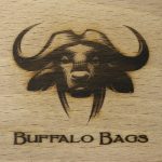 Logo Branding
