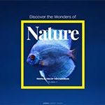 Nature 1.jpg