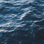 Watervideo 1 2208.jpeg